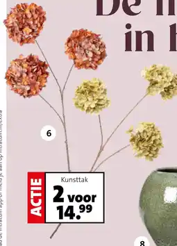Intratuin Kunsttak Hortensia aanbieding