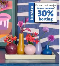 Intratuin Plateau met vaasjes Elim aanbieding