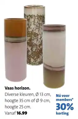 Intratuin Vaas horizon aanbieding