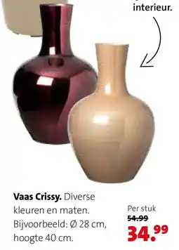 Intratuin Vaas Crissy aanbieding