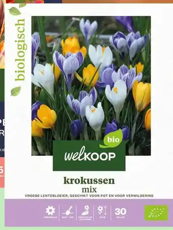 Welkoop krokussen mix