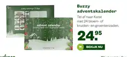Welkoop Buzzy adventskalender aanbieding