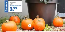 Intratuin Pompoen aanbieding