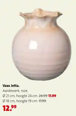 Intratuin Vaas Jetta aanbieding