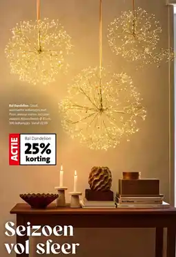 Intratuin Bal Dandelion aanbieding