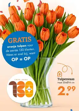 Blokker gratis oranje tulpen aanbieding