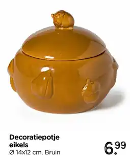 Xenos Decoratiepotje eikels aanbieding