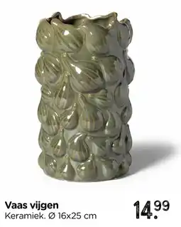 Xenos Vaas vijgen aanbieding