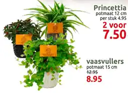 Deka Tuin vaasvullers aanbieding