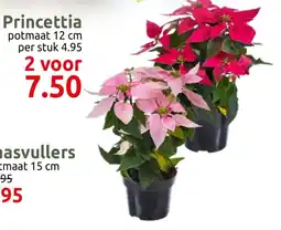 Deka Tuin Princettia potmaat aanbieding