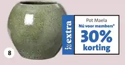 Intratuin Pot Maela aanbieding