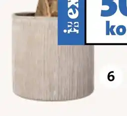 Intratuin Pot Kova aanbieding