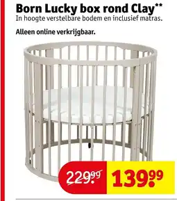 Kruidvat Born Lucky box rond Clay aanbieding