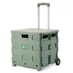 ANWB Packaway Boodschappenkrat 50L Met Deksel Groen aanbieding