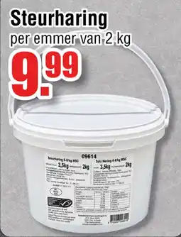 Ter Huurne Holland Markt Steurharing aanbieding