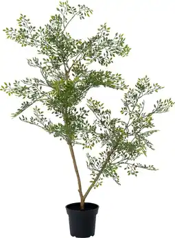 Intratuin Intratuin kunstplant Moringaboom D 15 H 71 cm aanbieding