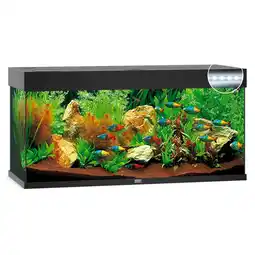 Pets Place Juwel Aquarium Rio 240 LED - Aquarium - 121x41x50 cm Zwart aanbieding
