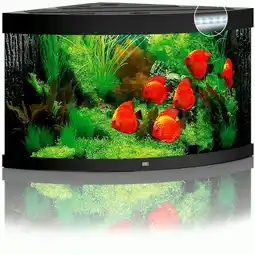 Pets Place Juwel Aquarium Trigon 350 LED - Aquarium - 123x87x65 cm Zwart aanbieding