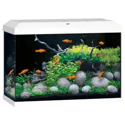 Pets Place Juwel Primo 70 2.0 - Aquarium - 62x32x41 cm Wit aanbieding