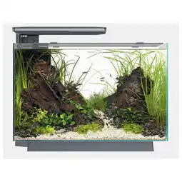 Pets Place SuperFish Quadro 70 Pro - Aquarium - 55x35x45,7 cm Zwart aanbieding