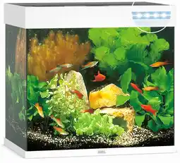 Pets Place Juwel Aquarium Lido 120 LED - Aquarium - 61x41x58 cm Wit aanbieding