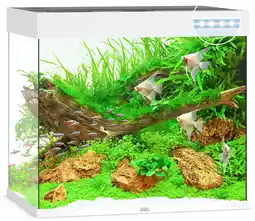 Pets Place Juwel Aquarium Lido 200 LED - Aquarium - 71x51x65 cm Wit aanbieding