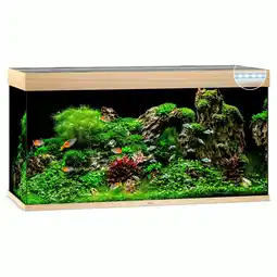 Pets Place Juwel Aquarium Rio 350 LED - Aquarium - 121x51x66 cm Licht hout aanbieding
