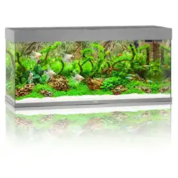 Pets Place Juwel Aquarium Rio 240 LED - Aquarium - 121x41x50 cm Grijs aanbieding