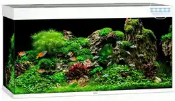 Pets Place Juwel Aquarium Rio 350 LED - Aquarium - 121x51x66 cm Wit aanbieding
