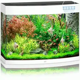 Pets Place Juwel Aquarium Vision 180 LED - Aquarium - 92x41x55 cm Wit aanbieding