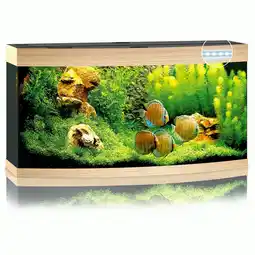 Pets Place Juwel Aquarium Vision 260 LED - Aquarium - 121x46x64 cm Licht hout aanbieding