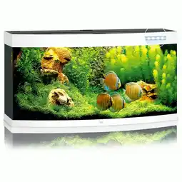 Pets Place Juwel Aquarium Vision 260 LED - Aquarium - 121x46x64 cm Wit aanbieding