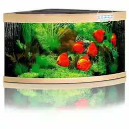 Pets Place Juwel Aquarium Trigon 350 LED - Aquarium - 123x87x65 cm Licht hout aanbieding