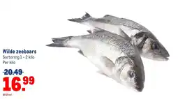 Makro Wilde zeebaars aanbieding