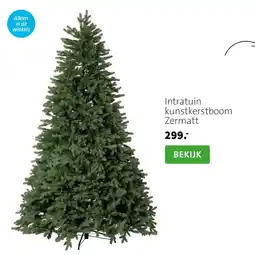 Intratuin Intratuin kunstkerstboom Zermatt aanbieding
