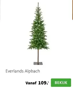 Intratuin Everlands Alpbach aanbieding