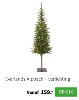 Intratuin Everlands Alpbach aanbieding