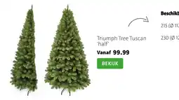 Intratuin Triumph Tree Tuscan 'half' aanbieding