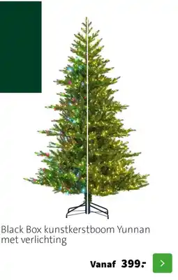 Intratuin Black box kunstkerstboom yunnan met verlichting aanbieding