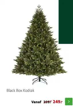 Intratuin Black Box Kodiak aanbieding