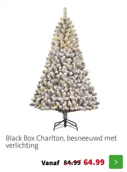 Intratuin Black Box Charlton besneeuwd met verlichting aanbieding