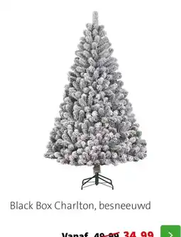 Intratuin Black Box Charlton aanbieding