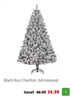 Intratuin Black Box Charlton, besneeuwd aanbieding
