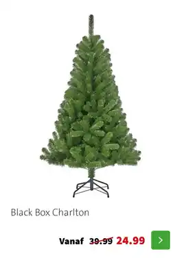 Intratuin Black Box Charlton aanbieding