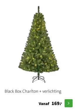 Intratuin Black Box Charlton + verlichting aanbieding