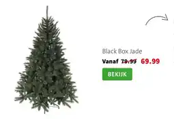 Intratuin Black Box Jade aanbieding