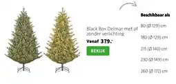 Intratuin Black Box Delmar aanbieding