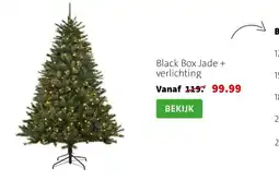 Intratuin Black Box Jade aanbieding