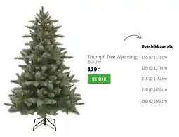 Intratuin Triumph Tree Wyoming, blauw aanbieding