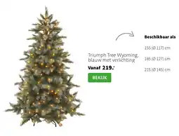 Intratuin Triumph Tree Wyoming aanbieding